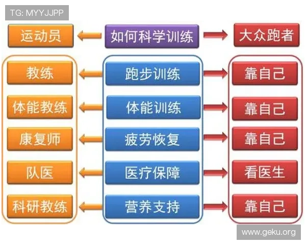 5爱体育竞技帮助用户掌握体育竞技技巧与训练方法提升运动水平